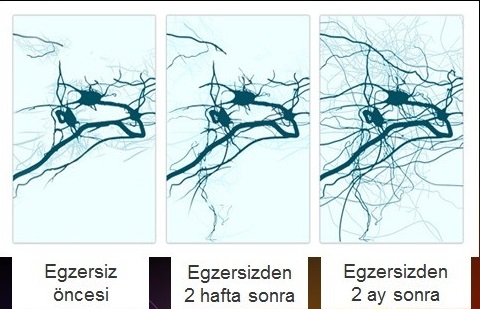 Daha Kaliteli Bir Öğrenme ve Hayat İçin